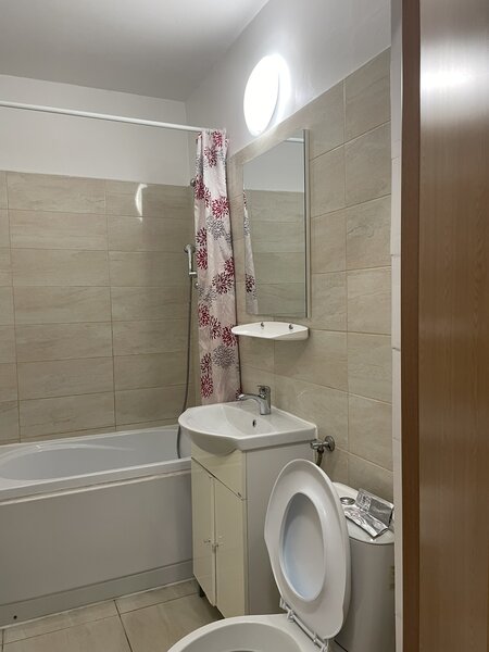 Bucur Obor, Ferdinand, garsoniera de inchiriat, comision 0, pet friendly